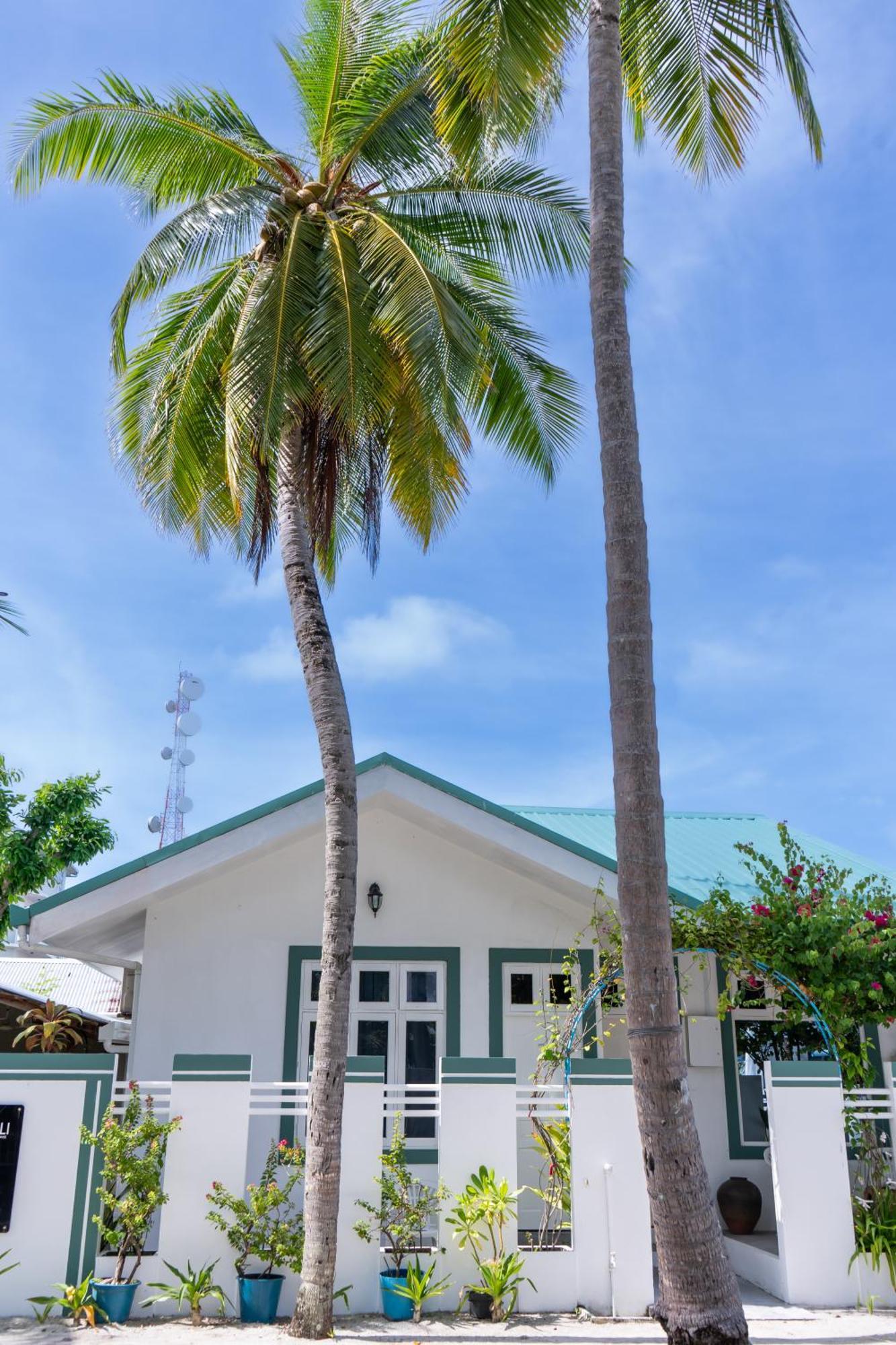 Vaali Maldives Island Escapes & Dive Hotel Felidhoo Luaran gambar