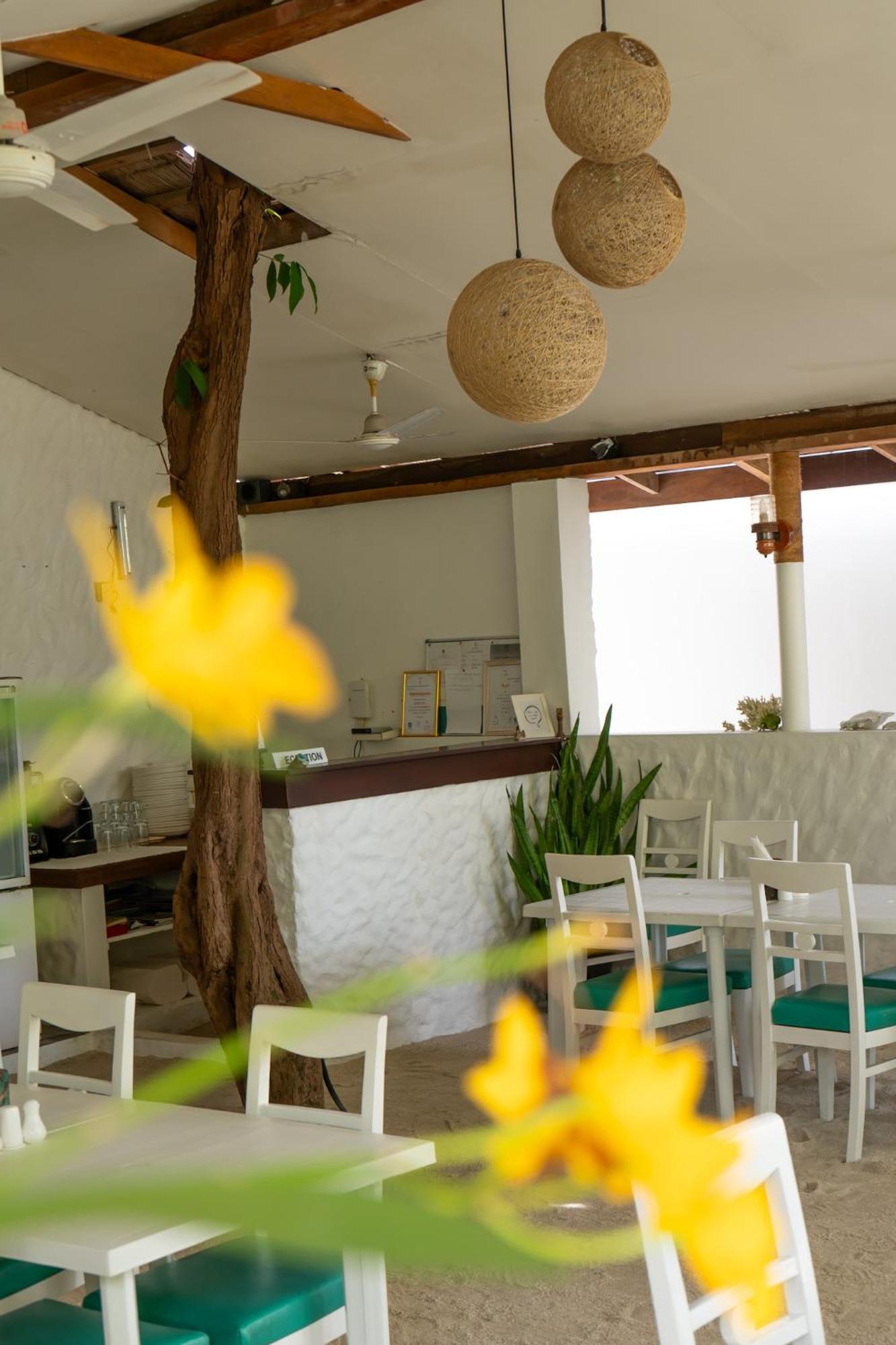 Vaali Maldives Island Escapes & Dive Hotel Felidhoo Luaran gambar