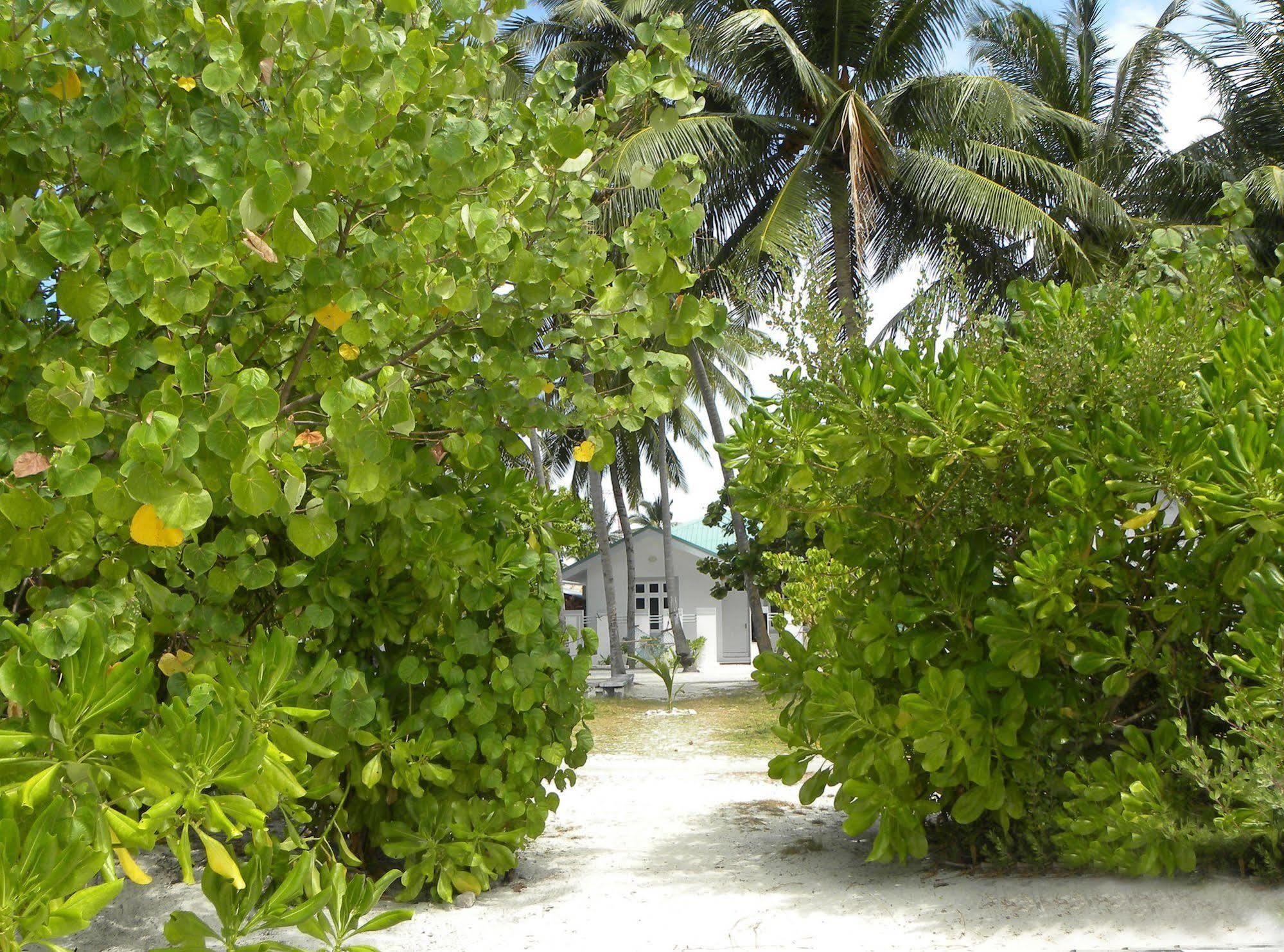 Vaali Maldives Island Escapes & Dive Hotel Felidhoo Luaran gambar