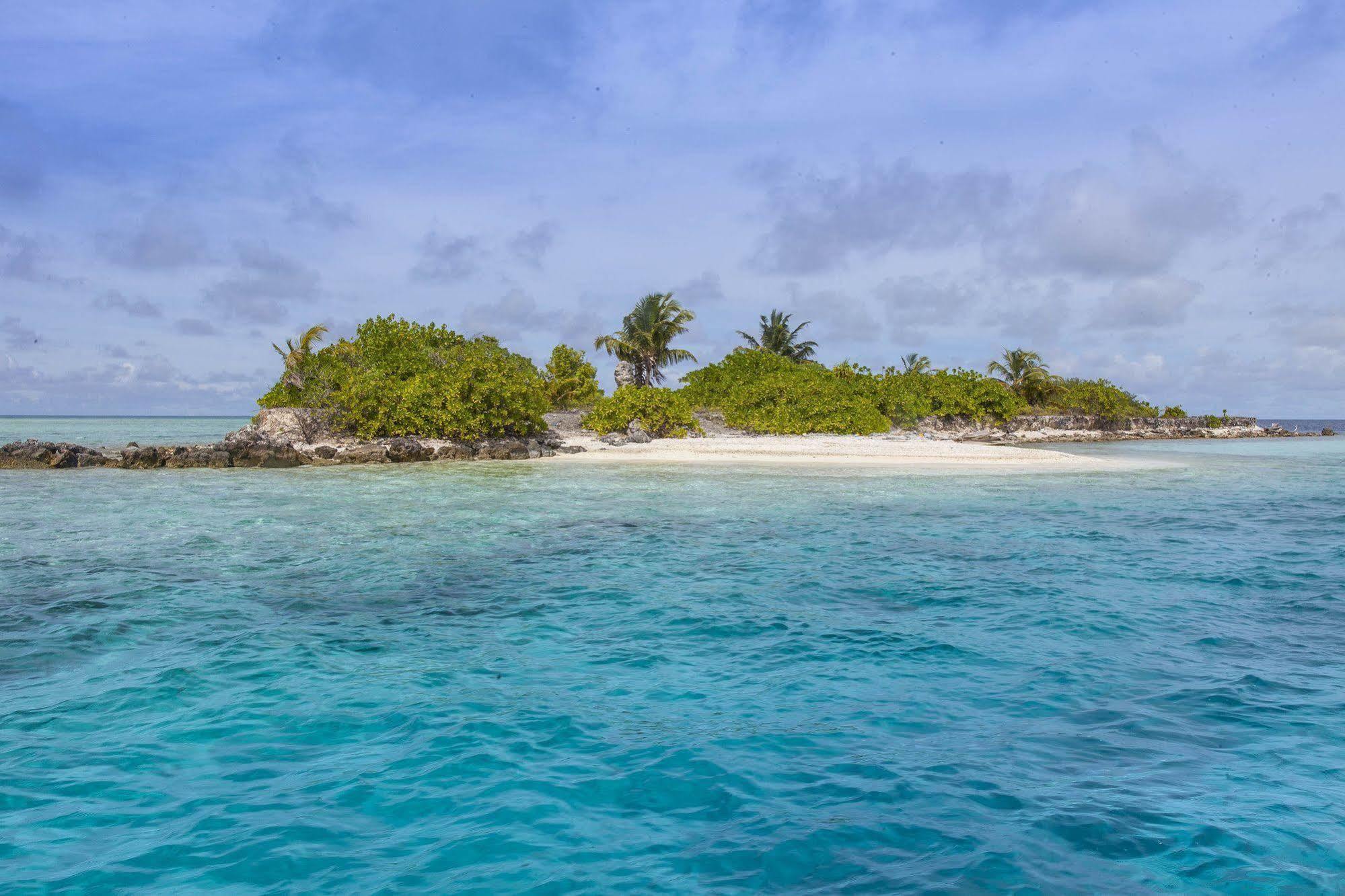 Vaali Maldives Island Escapes & Dive Hotel Felidhoo Luaran gambar